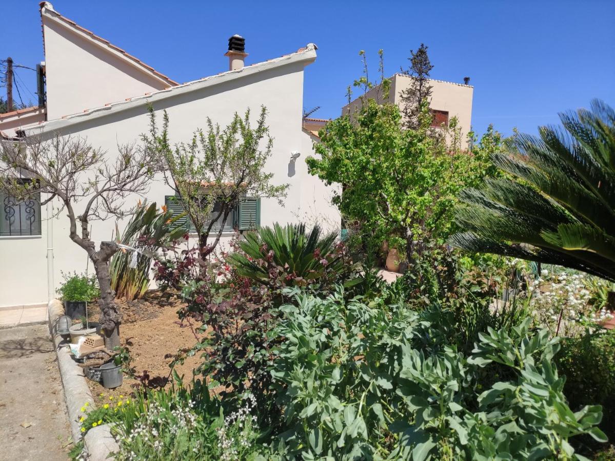 Casa Matzurana Βίλα Κουνουπιδιανά Εξωτερικό φωτογραφία